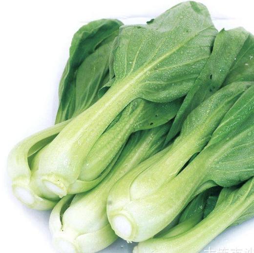青菜每公斤 商品图0