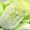 白菜每公斤 商品缩略图0