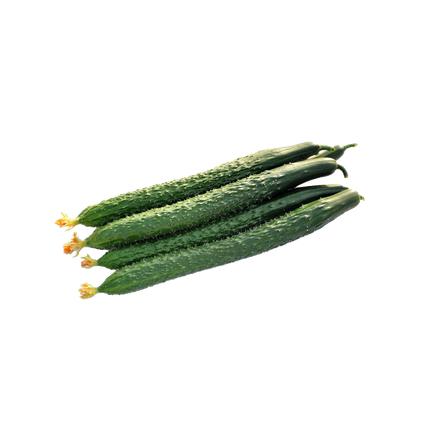 【优选-蔬菜】精品黄瓜 1斤