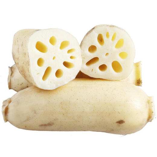 鲜莲藕 商品图2