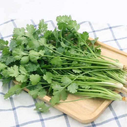 本地叶须（香菜） 商品图3