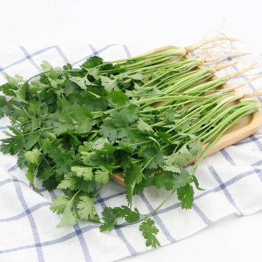 本地叶须（香菜） 商品图2