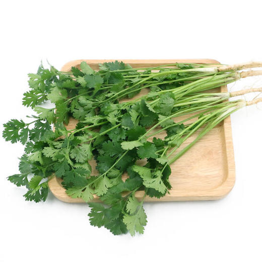 本地叶须（香菜） 商品图0
