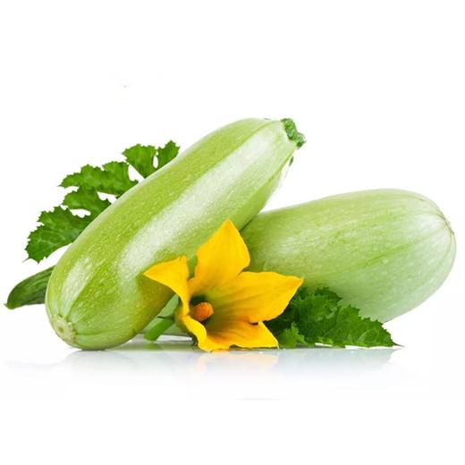 长小瓜 商品图0