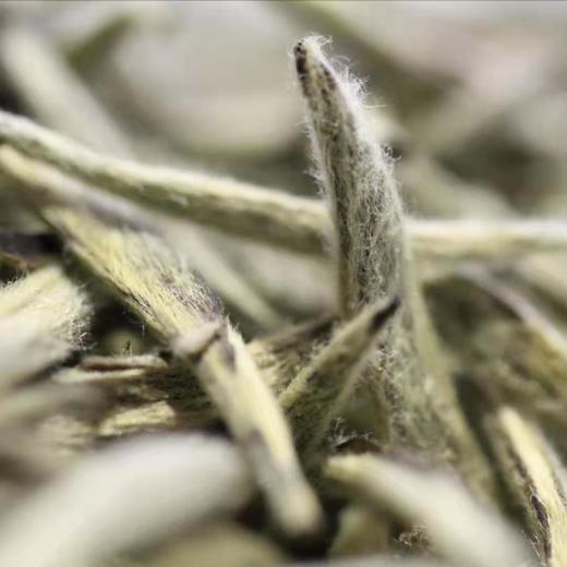 2013年白毫银针 商品图1