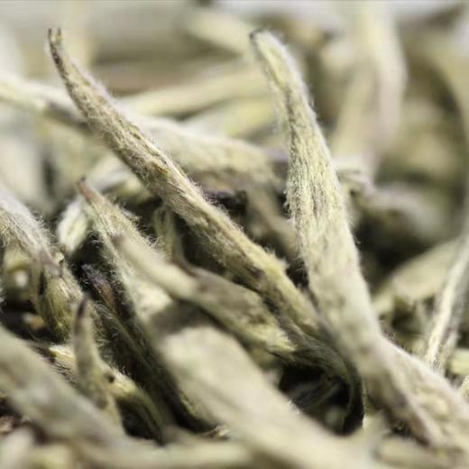 2014年白毫银针 商品图1