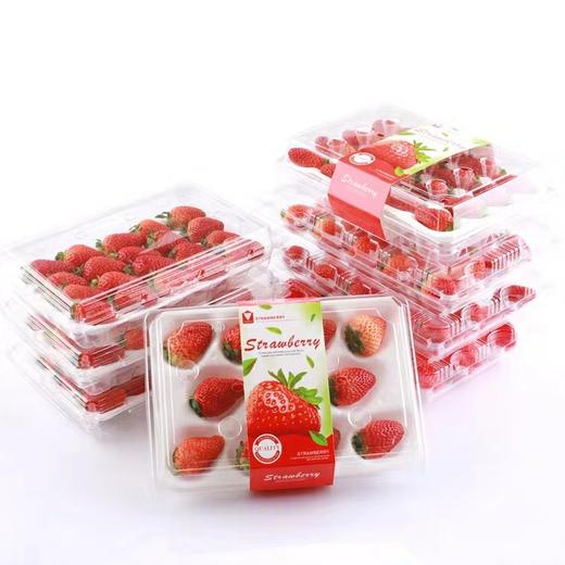一篮鲜尝新鲜奶油草莓1盒约450克约1114颗