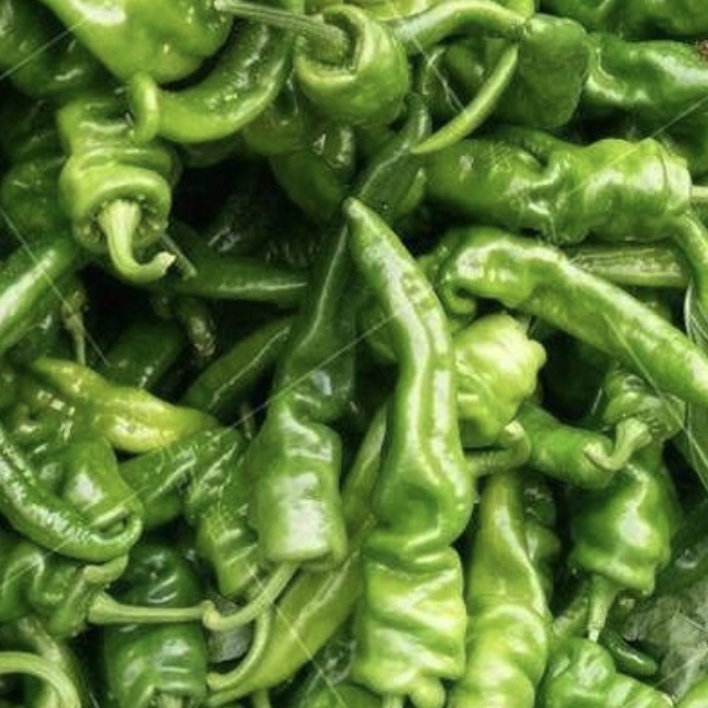 辣椒螺丝每公斤