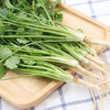 本地叶须（香菜） 商品缩略图1