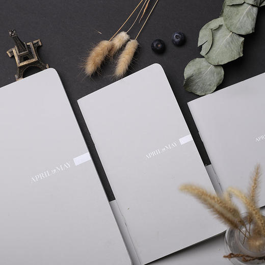 April 玲珑彩色本 本中爱马仕Moleskine同款用纸 商品图3