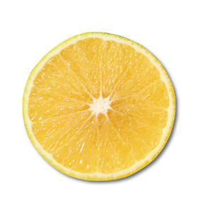 高山冰糖橙 500g/份