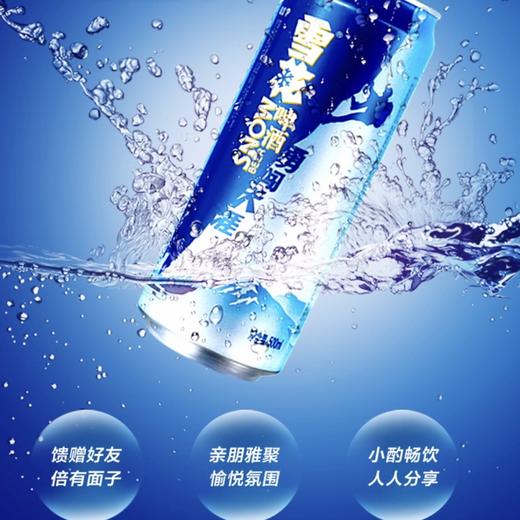 雪花啤酒勇闯天涯500毫升/听6听/包12听/提24听/箱 商品图5