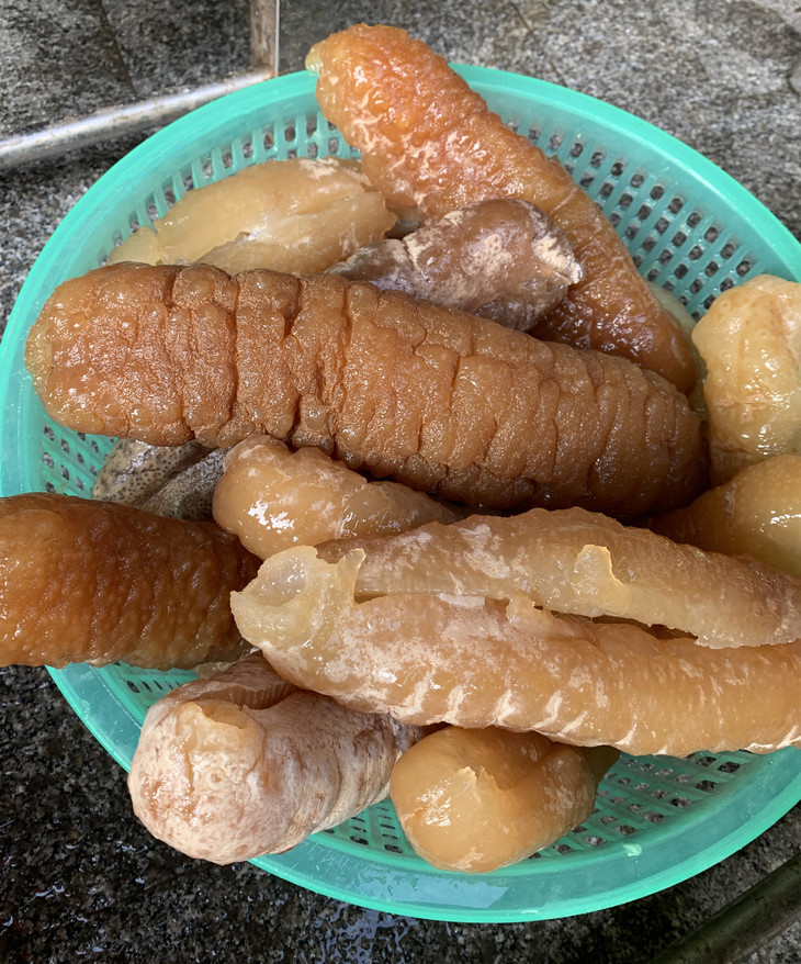 非洲野生黄玉海参