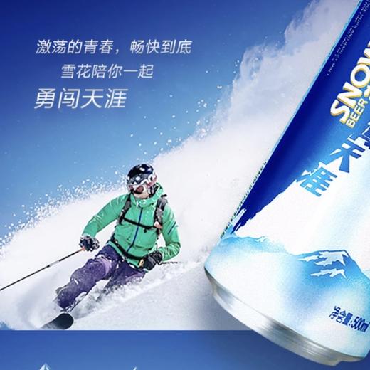 雪花啤酒勇闯天涯500毫升/听6听/包12听/提24听/箱 商品图1