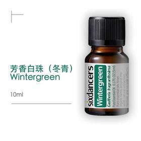 芳香白珠（冬青）