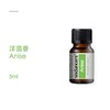 洋茴香 商品缩略图0