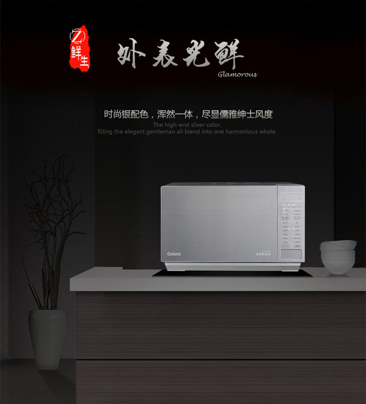 G90F25CSPV-BM1(G0)_02