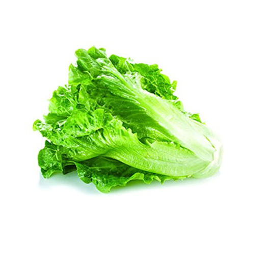 生菜(500g±50g) 商品图0