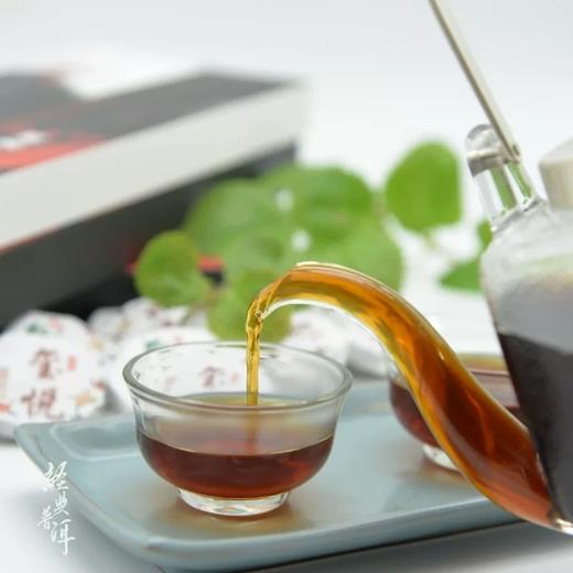 【伴手茶礼】玺悦圆璧 普洱生茶熟茶 时尚便携 20片装 迷你圆璧 商品图4