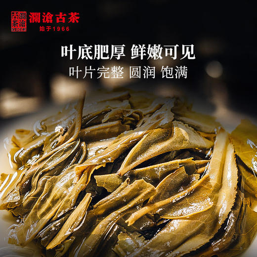 澜沧古茶2020年007普洱茶生普生茶七子饼茶357g*7片 商品图3