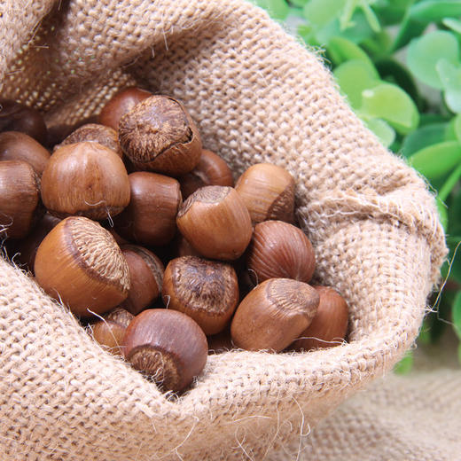 天野园·东北野生榛子 炒熟 野生榛子 坚果300g新货 袋装 商品图1