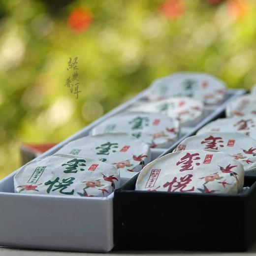 【伴手茶礼】玺悦圆璧 普洱生茶熟茶 时尚便携 20片装 迷你圆璧 商品图2
