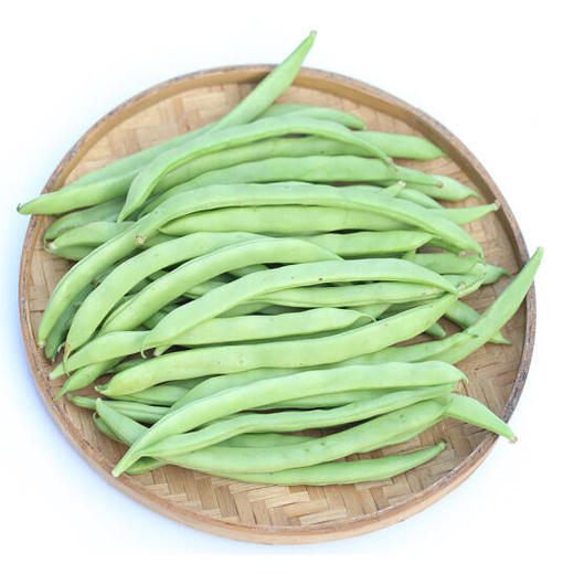 四季豆 商品图2