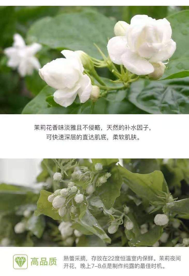 明明限时活动小茉莉冷萃纯露77赠一瓶避虫香精油