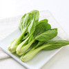 【城·食配】油菜 1份/约1斤 商品缩略图0