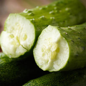 【城·食配】旱黄瓜 3个/份/约1斤