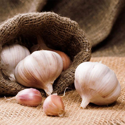 【城·食配】大蒜 6-7个/份/1斤 商品图0