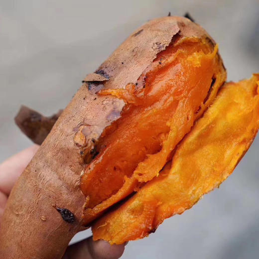 云南高原流心糖蜜薯5斤装