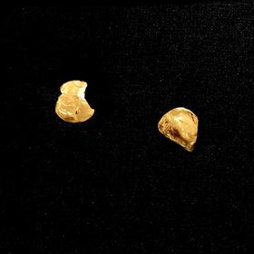 ALIGHIERI THE STARLESS SKY STUDS FJ5000 BRZ