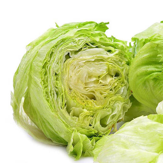 【城·食配】圆生菜 1斤/份 商品图1