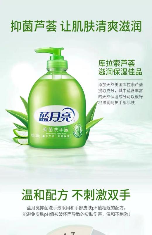 蓝月亮洗手液500G抑菌家用瓶装 商品图0