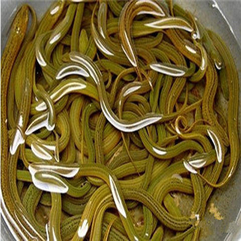 鳝鱼500g 商品图0