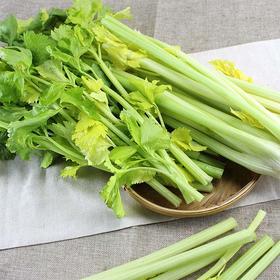 【城·食配】芹菜 2根/份/约2斤