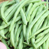 四季豆 商品缩略图1