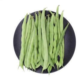 四季豆