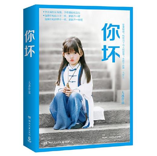 你坏（大冰作品。一年销量突破280万册。用《你坏》向你说声：你好！） 商品图0