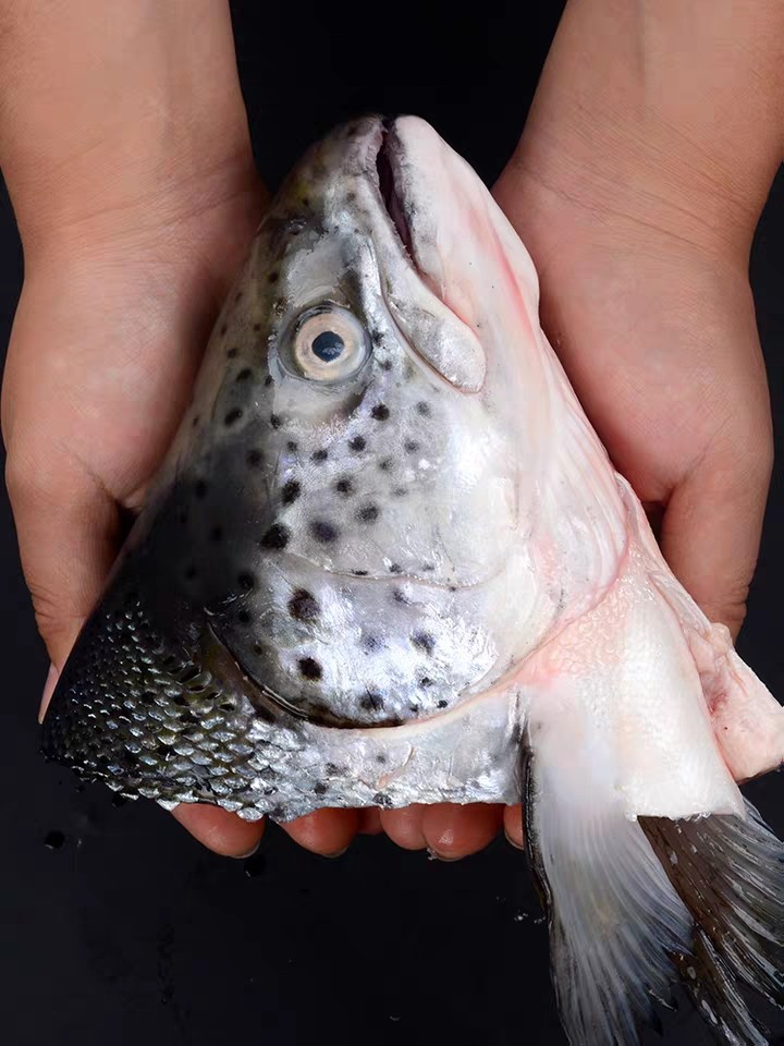 挪威三文鱼头，1个