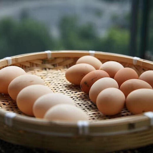 【下单后48小时发货】安徽黄山 深山土鸡蛋 60枚装 商品图0