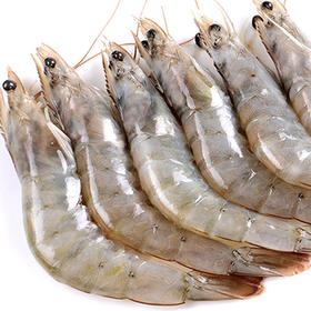 速冻海虾(500g±50g)