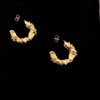 Alighieri THE SELVA OSCURA EARRINGS FJ5221 BRZ 商品缩略图0