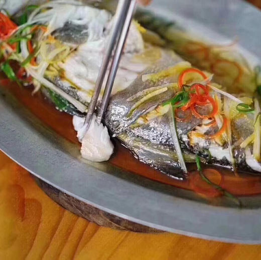 【海鲜精选】东山海鲜•野生活鲜午鱼 号称闽南第一鱼 午鱼肉质鲜美 细腻爽口 脂肪的厚度超过10% 入口即化 商品图6