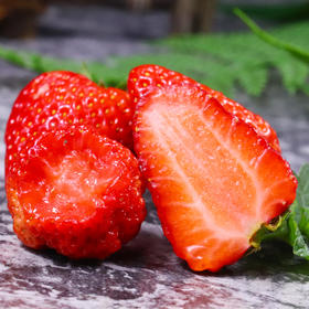 物本源 无农残有机草莓 雪里香/甜宝 （仅限山东省）