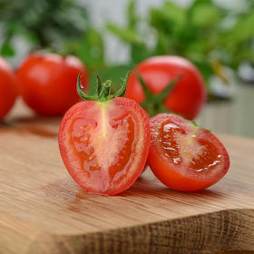 有机小番茄