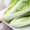 有机小白菜 商品缩略图3