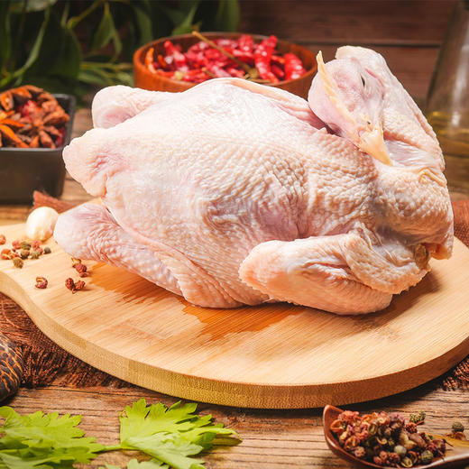 净界无菌鸡 商品图1