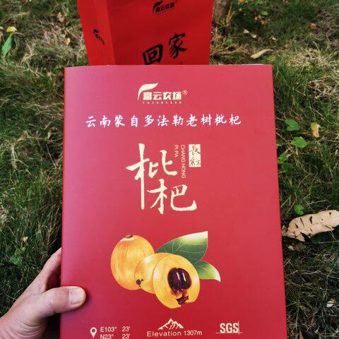 【下单48小时左右发货】云南 蒙自 多法勒老树长红枇杷3斤装左右（约39-45个左右） 商品图8